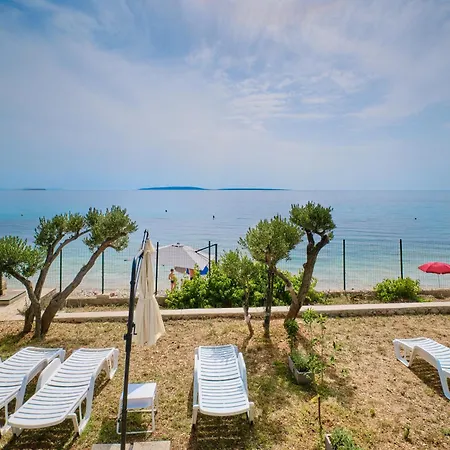 Alberta * Miholascica