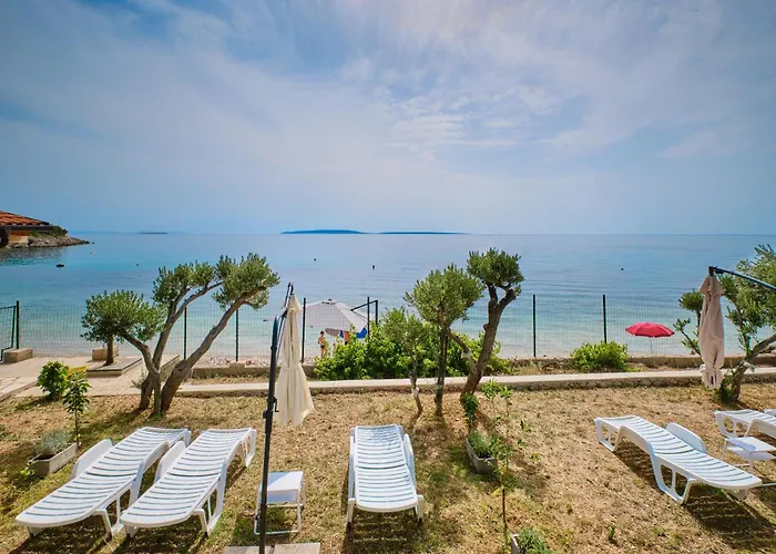 Alberta * Miholascica